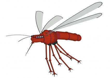 Mosquito insect